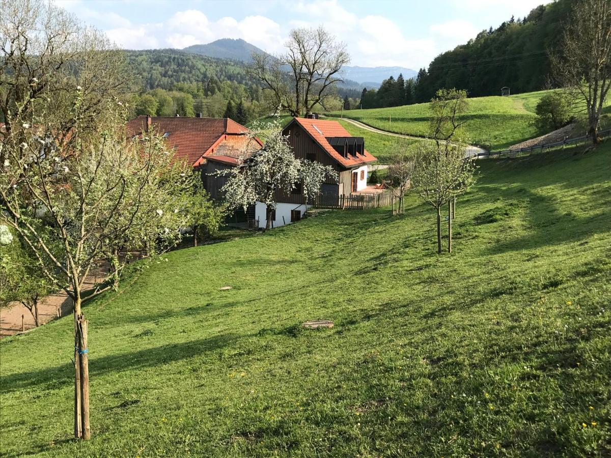 Pension Ober Siegsdorf Buitenkant foto