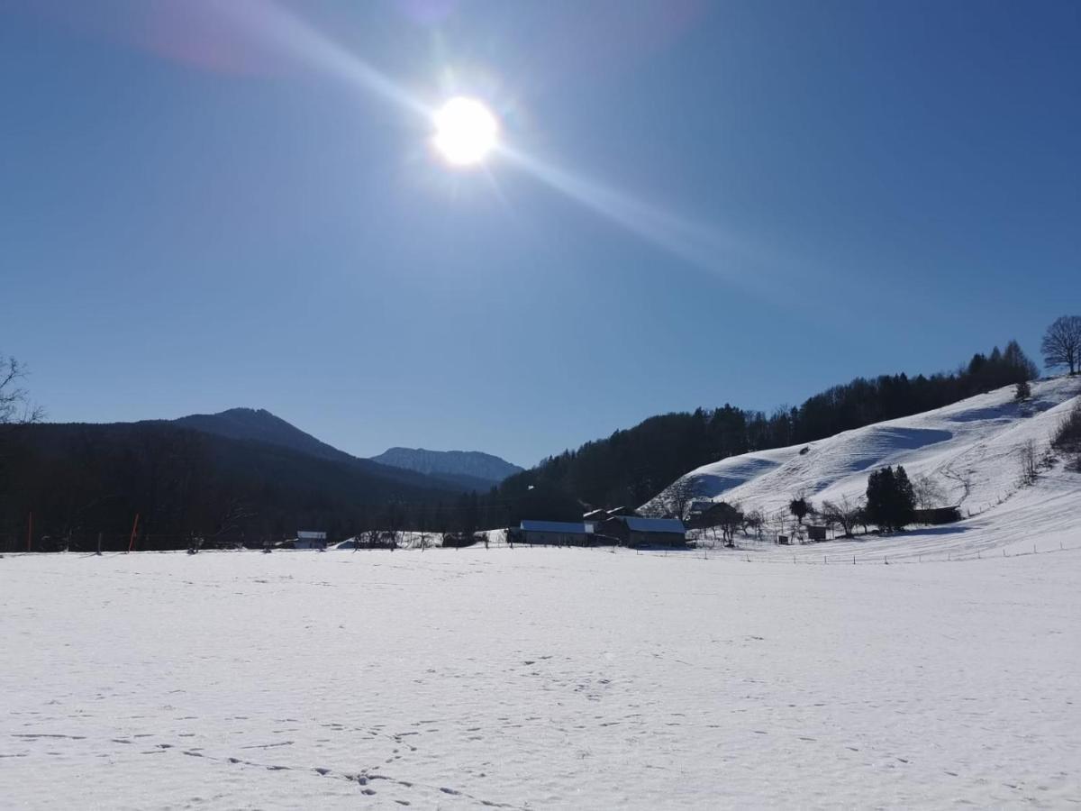 Pension Ober Siegsdorf Buitenkant foto