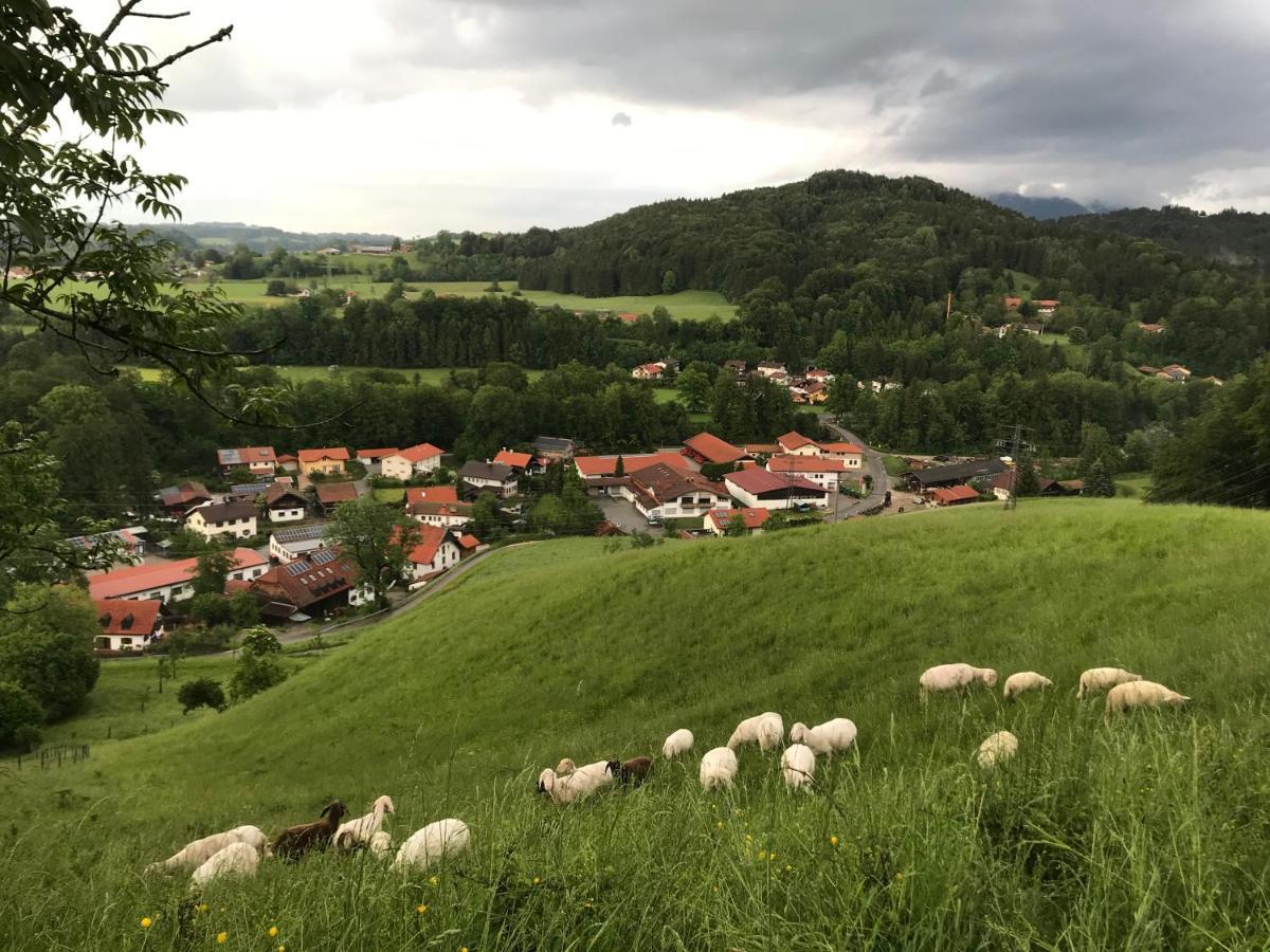Pension Ober Siegsdorf Buitenkant foto