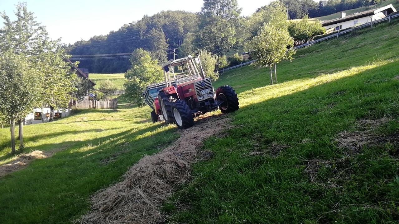 Pension Ober Siegsdorf Buitenkant foto